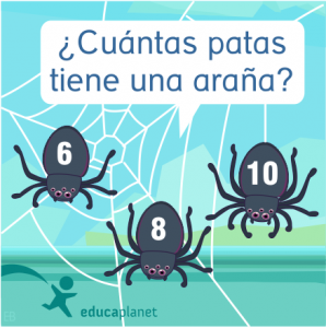 Curiosidades animales - arañas