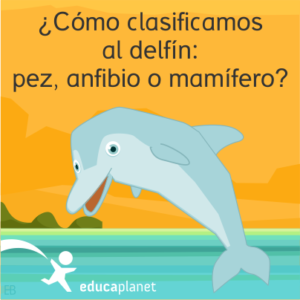 Curiosidades delfín Educaplanet