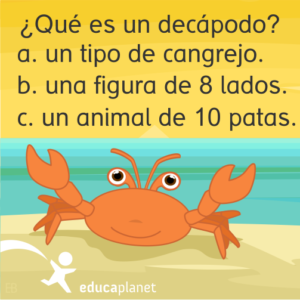 decápodo animales curiosidades