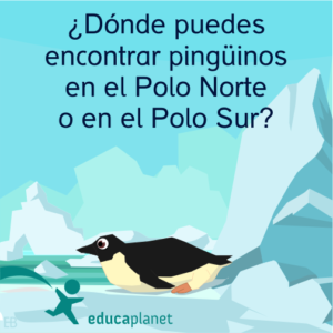 Pingüinos curiosidades animales