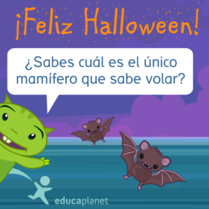 Halloween murciélago