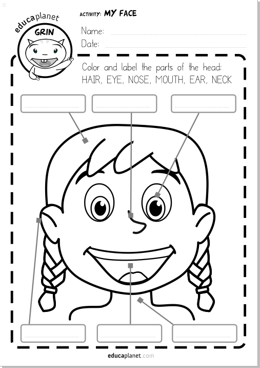 Parts of the face Worksheet printable free