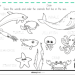acuatic animals english worksheet preschool