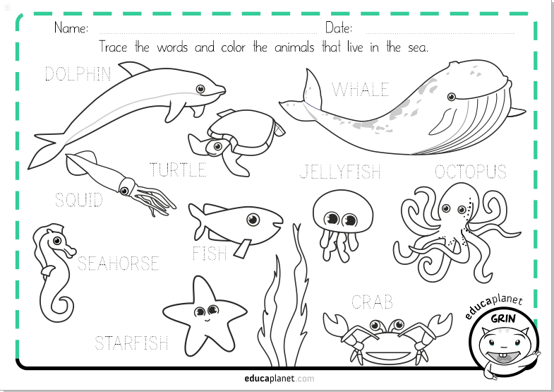 acuatic animals english worksheet preschool