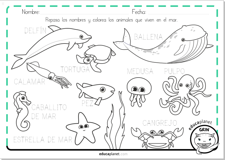 Ficha animales acuaticos Día del océano español